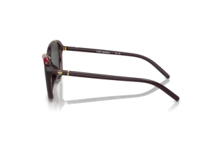 Sidevisning Tory Burch TY9074U (194887)