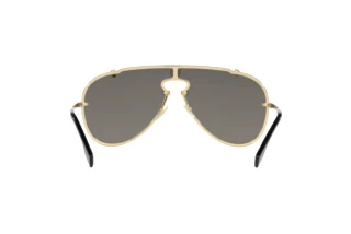 Bagside Versace VE2243 (10026G)