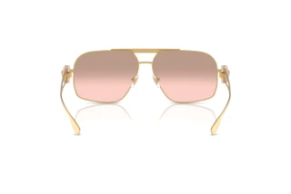 Bagside Versace VE2269 (10027E)