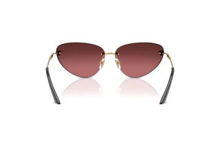 Bagside Versace VE2281 (10027E)