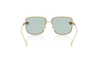 Bagside Versace VE2282 (10029C)