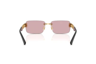 Bagside Versace VE2298 (10021T)