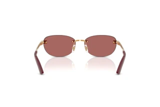 Bagside Versace VE2307 (152369)