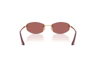 Bagside Versace VE2308D (152369)