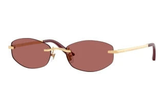 Forfra Versace VE2308D (152369)