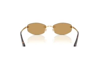 Bagside Versace VE2308D (152373)