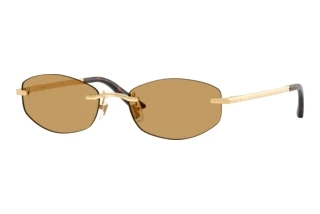 Forfra Versace VE2308D (152373)