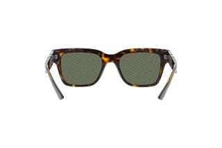 Bagside Versace VE4421 (108/V8)