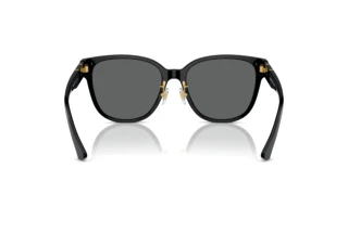 Bagside Versace VE4460D (GB1/87)