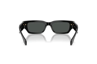 Bagside Versace VE4465 (GB1/87)