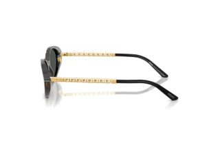 Sidevisning Versace VE4469 (547087)