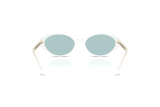 Bagside Versace VE4469 (547172)