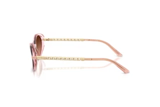 Sidevisning Versace VE4469 (54725M)