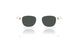 Bagside Versace VE4479U (314/87)