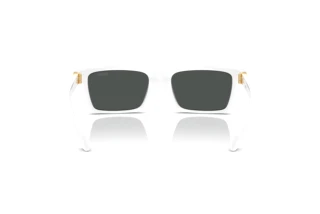 Bagside Versace VE4490U (314/87)