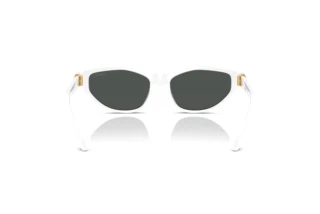 Bagside Versace VE4491U (314/87)