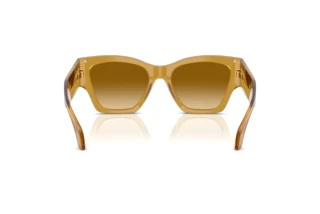 Bagside Versace VE4492U (53472L)