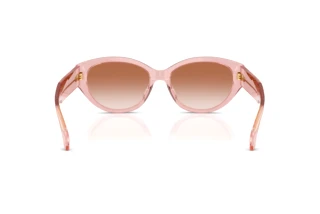 Bagside Versace VE4495D (543413)