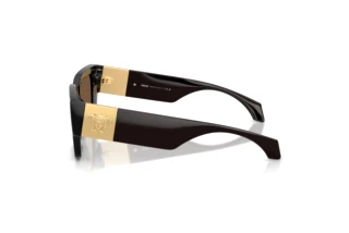 Sidevisning Versace VE4497U (554373)