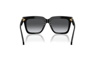 Bagside Versace VE4498 (GB1/T3)