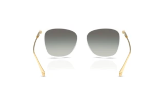 Bagside Versace VE4507U (314/11)