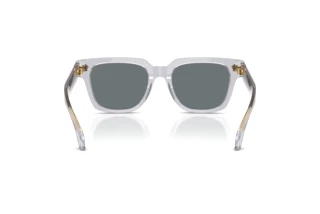 Bagside Versace VE4510U (530580)