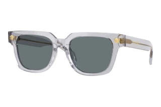 Forfra Versace VE4510U (530580)