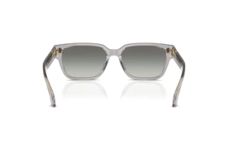 Bagside Versace VE4513D (593/11)