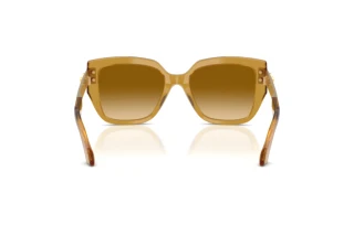 Bagside Versace VE4517U (53472L)