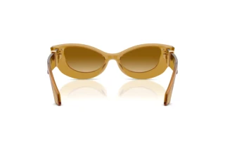 Bagside Versace VE4520U (53472L)