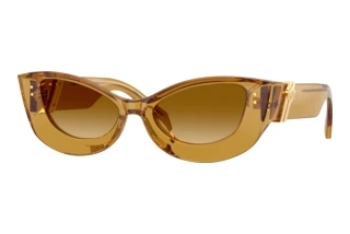 Forfra Versace VE4520U (53472L)