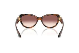 Bagside Versace VE4524U (526420)