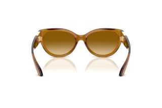 Bagside Versace VE4524U (53472L)