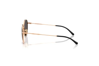 Sidevisning Vogue Eyewear VJ1002 (515287)