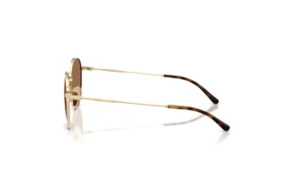 Sidevisning Vogue Eyewear VJ1002 (848/73)