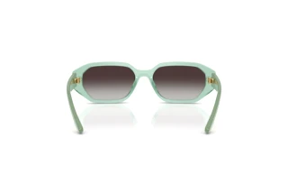 Bagside Vogue Eyewear VJ2034 (32748G)