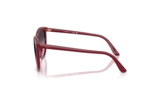 Sidevisning Vogue Eyewear VO5230S (287590)