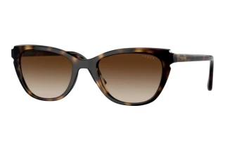 Forfra Vogue Eyewear VO5293S (W65613)
