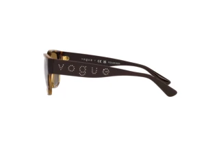 Sidevisning Vogue Eyewear VO5459SB (W656T5)