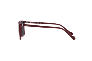 Sidevisning Vogue Eyewear VO5493S (304887)