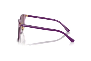 Sidevisning Vogue Eyewear VO5537SD (29228H)