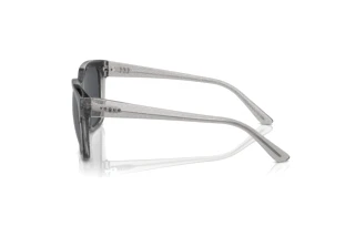 Sidevisning Vogue Eyewear VO5558S (313387)