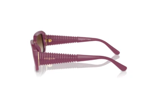 Sidevisning Vogue Eyewear VO5565S (312313)