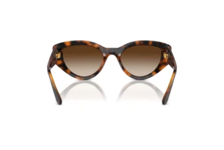 Bagside Vogue Eyewear VO5566S (W65613)