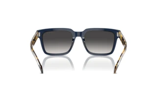 Bagside Vogue Eyewear VO5573S (31438G)