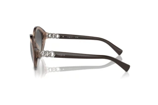 Sidevisning Vogue Eyewear VO5576SB (294011)