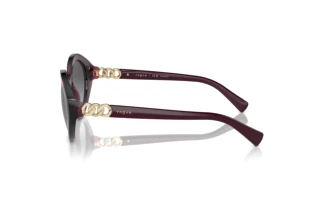 Sidevisning Vogue Eyewear VO5576SB (2989T3)