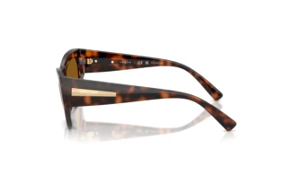 Sidevisning Vogue Eyewear VO5607S (271883)