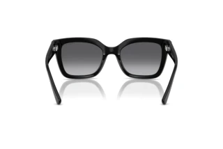 Bagside Vogue Eyewear VO5613SB (W44/T3)