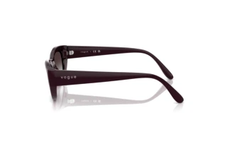 Sidevisning Vogue Eyewear VO5616S (24268G)